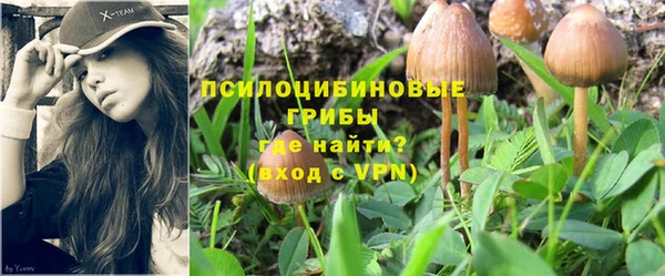 скорость Абаза