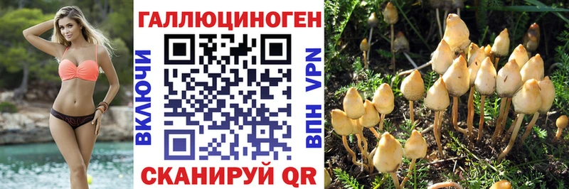цена   Туапсе  ОМГ ОМГ маркетплейс  Галлюциногенные грибы Cubensis 